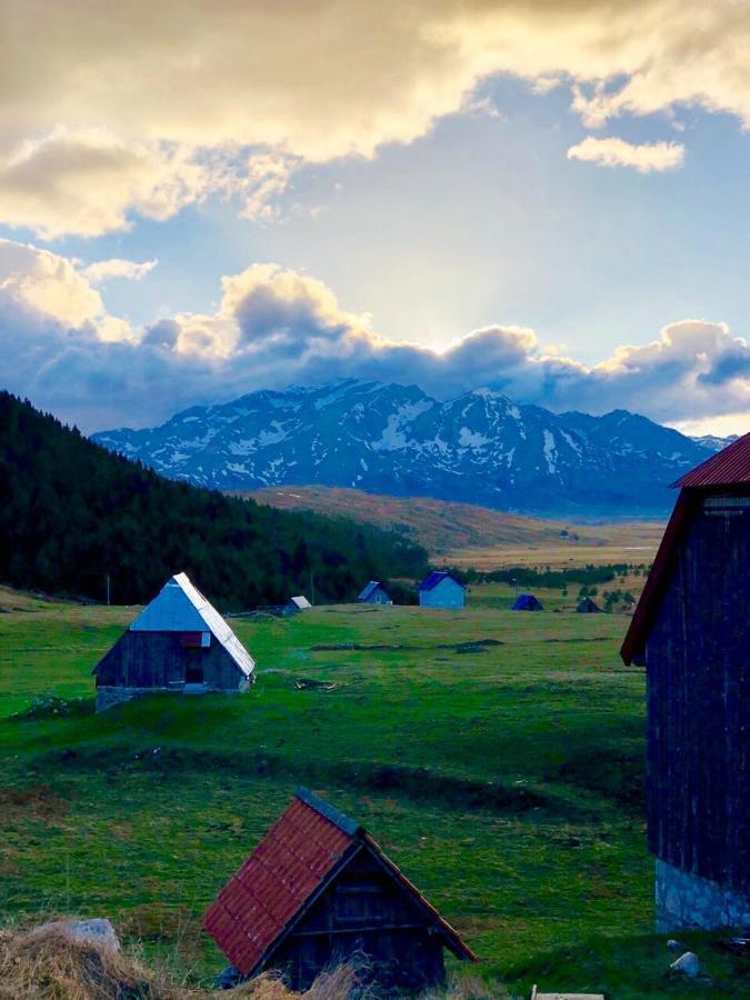 Eco Village Pavlovic Zabljak  Exterior photo